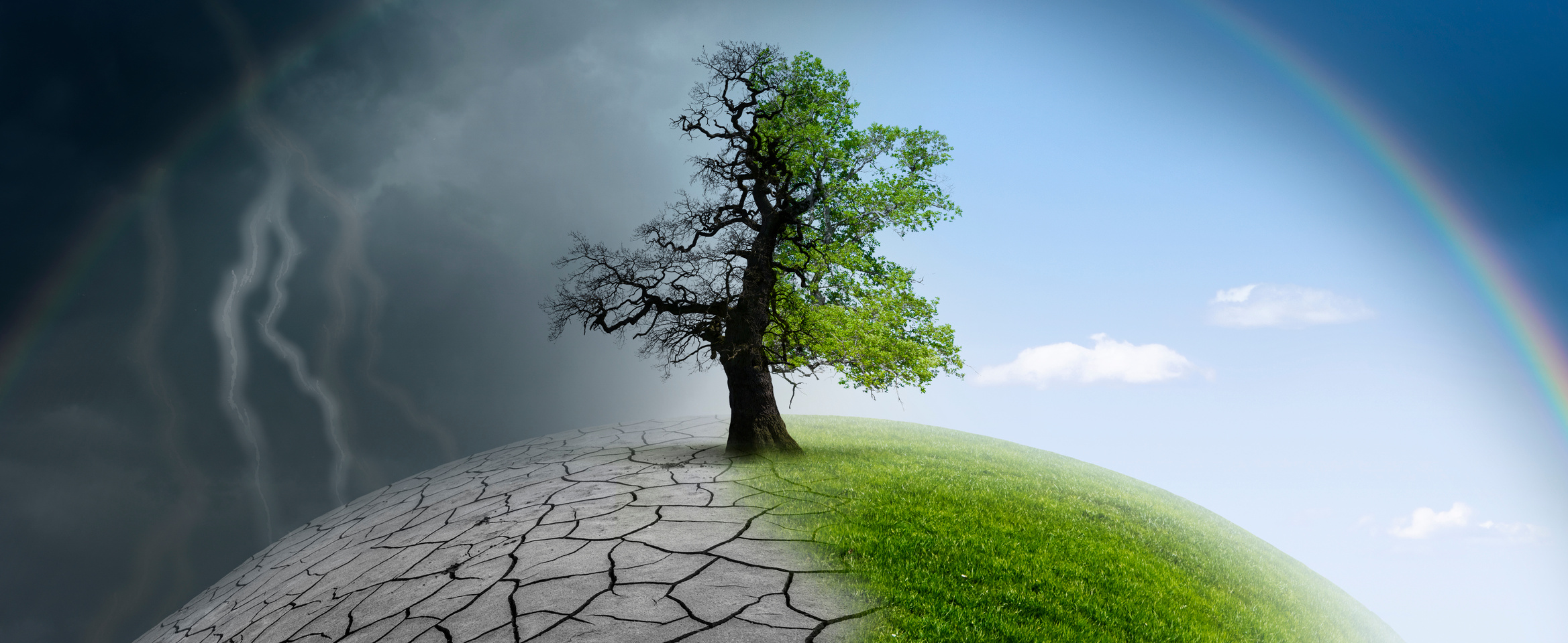 Tree on a globe in climate change